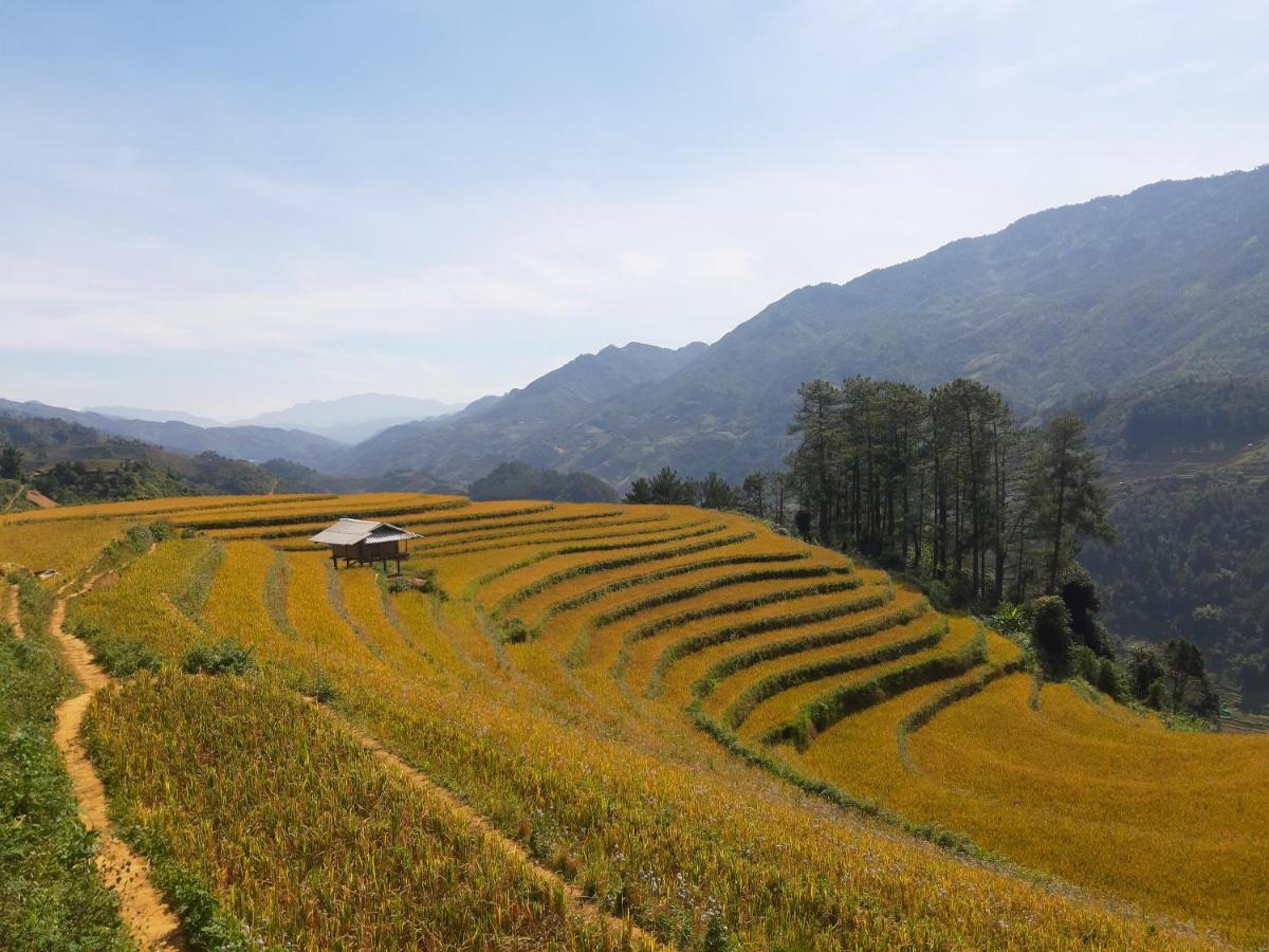 Mu Cang Chai Backpacker Hostel Extérieur photo