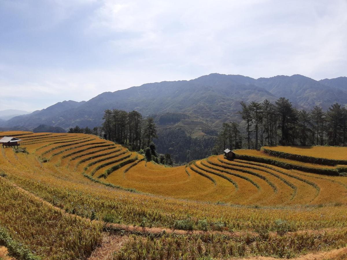 Mu Cang Chai Backpacker Hostel Extérieur photo