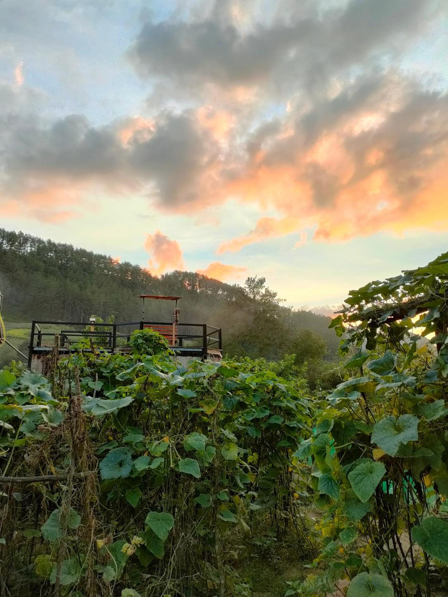 Mu Cang Chai Backpacker Hostel Extérieur photo
