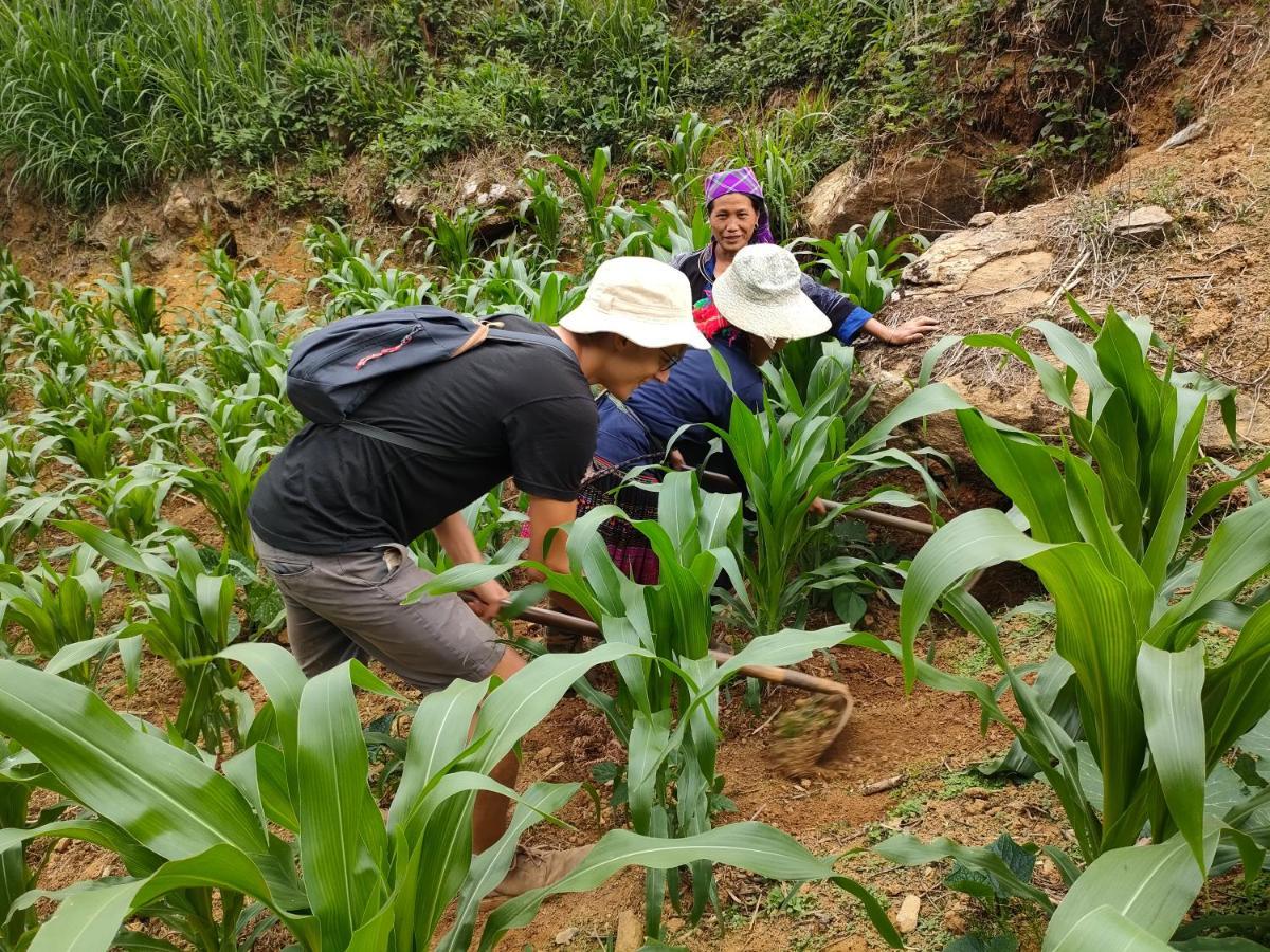 Mu Cang Chai Backpacker Hostel Extérieur photo