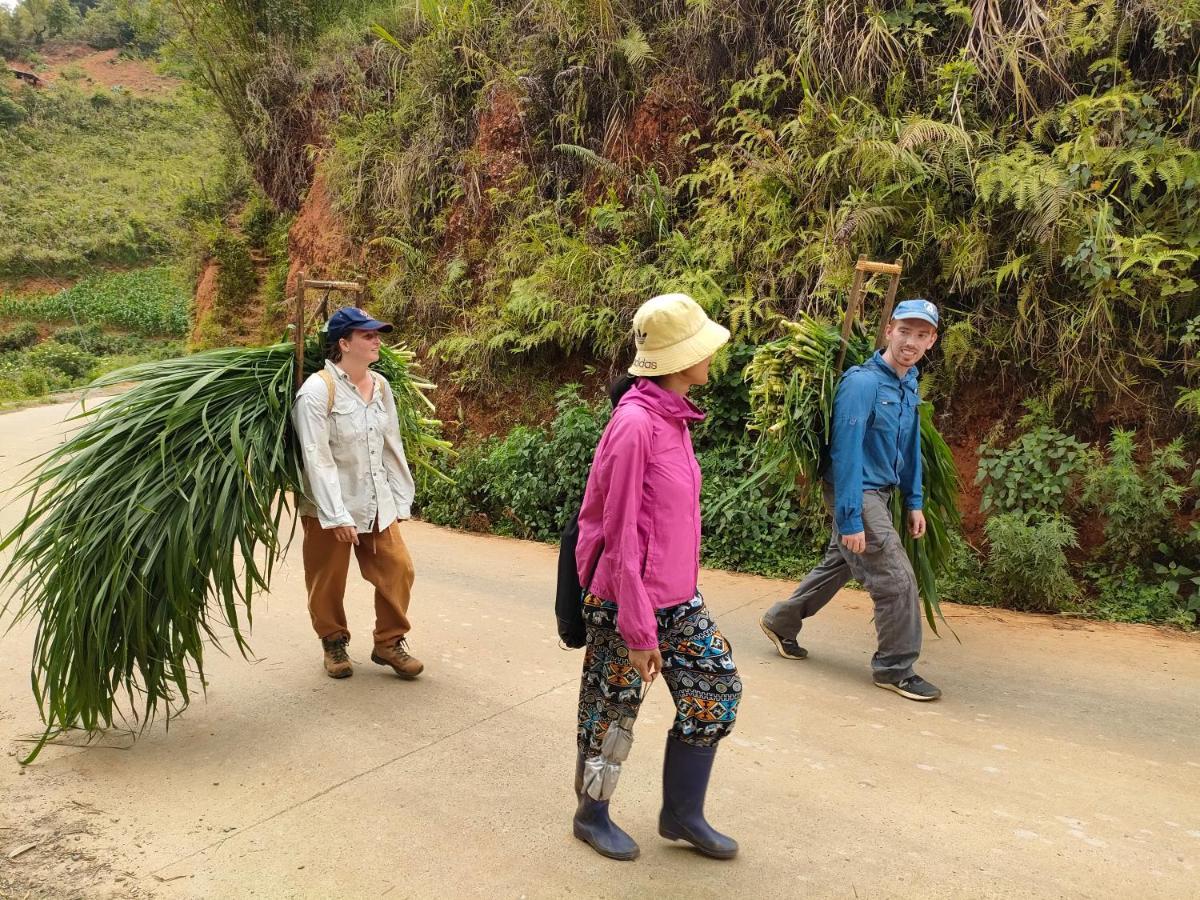 Mu Cang Chai Backpacker Hostel Extérieur photo