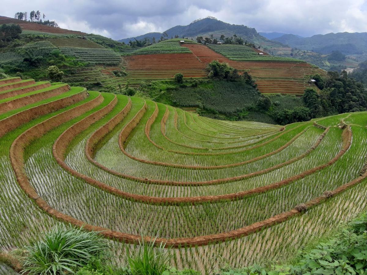 Mu Cang Chai Backpacker Hostel Extérieur photo