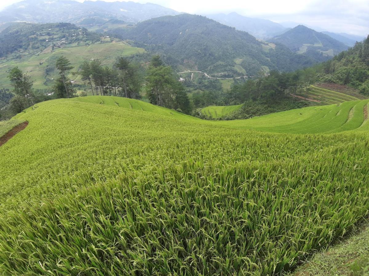Mu Cang Chai Backpacker Hostel Extérieur photo
