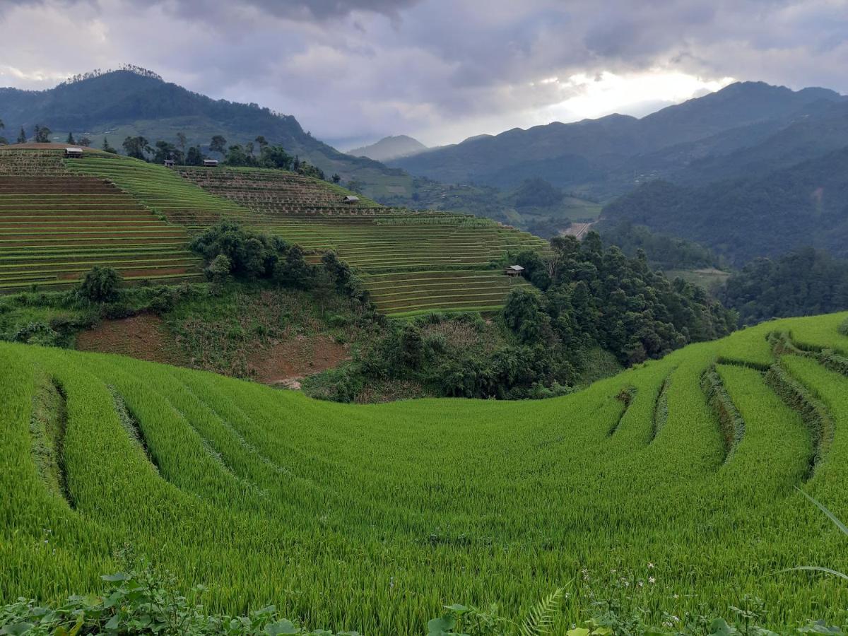 Mu Cang Chai Backpacker Hostel Extérieur photo
