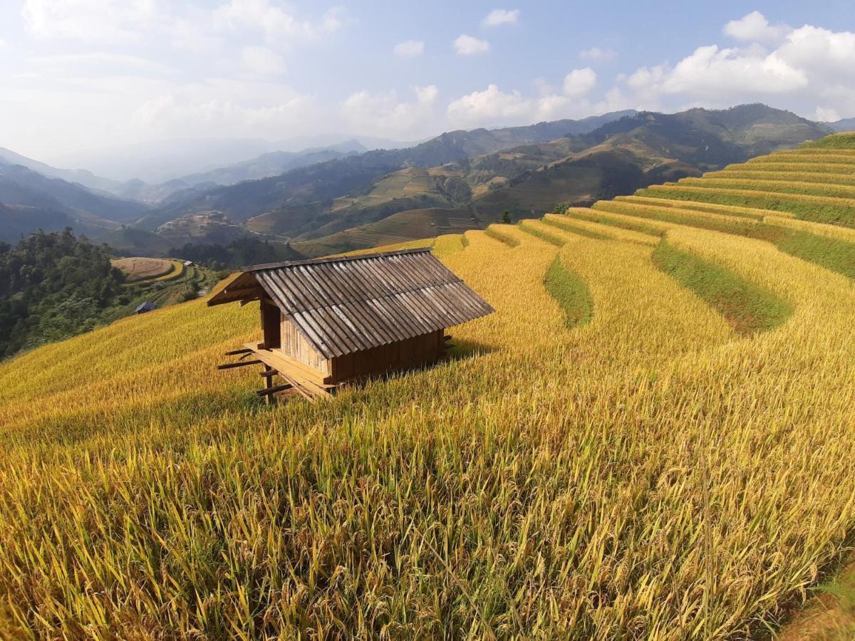 Mu Cang Chai Backpacker Hostel Extérieur photo